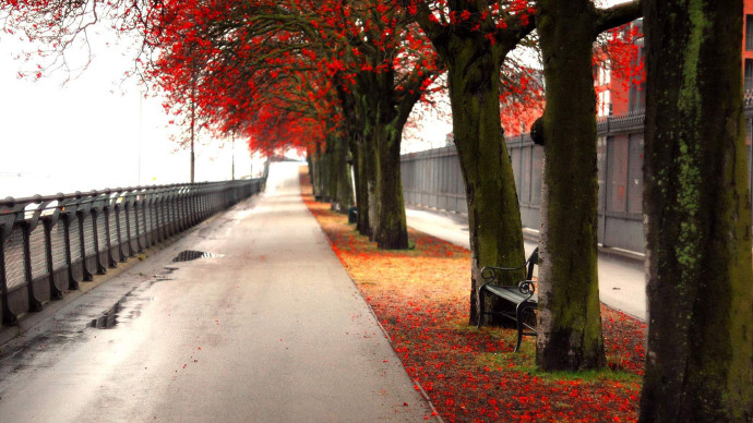 最难认的30个四叠字和35个三叠字,常见三字叠字