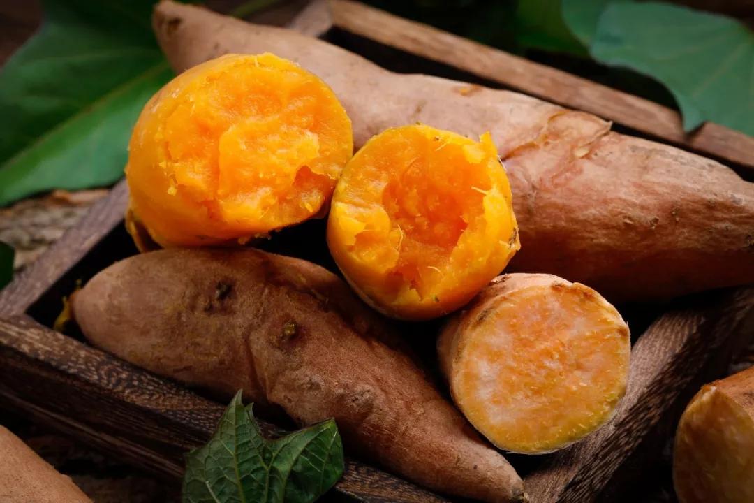 中医常说的发物有哪些,中医常说的发物是什么