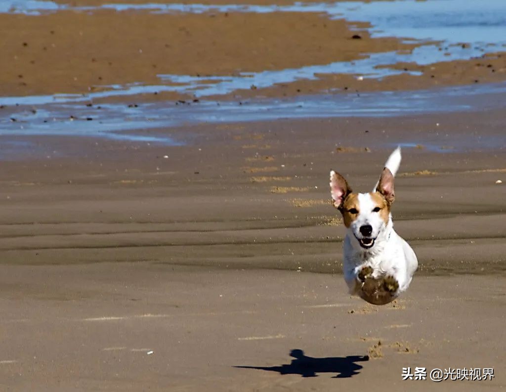 捕捉美好瞬间30张照片,捕捉震撼的瞬间