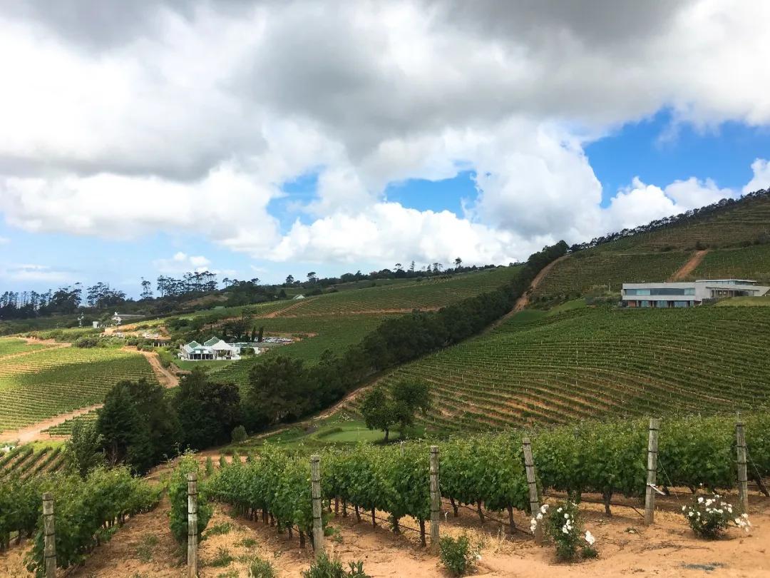 南非特产酒,南非映象