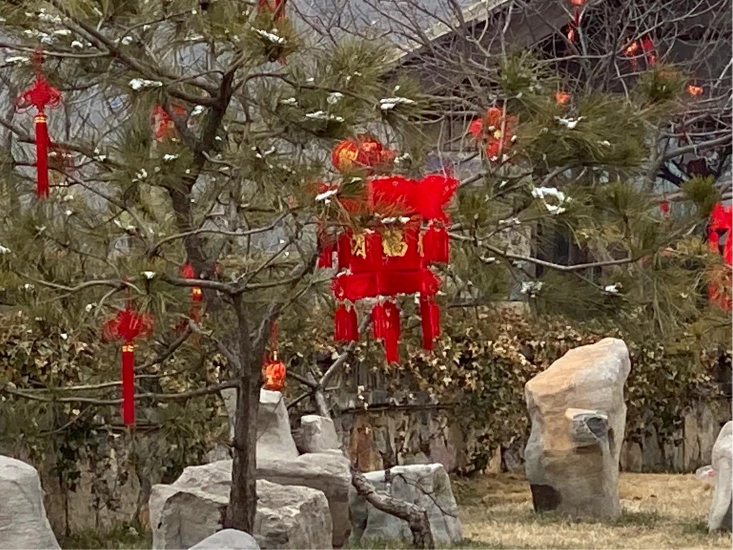 【初三】14、墙外看太行山中"云上的院子"依然很美