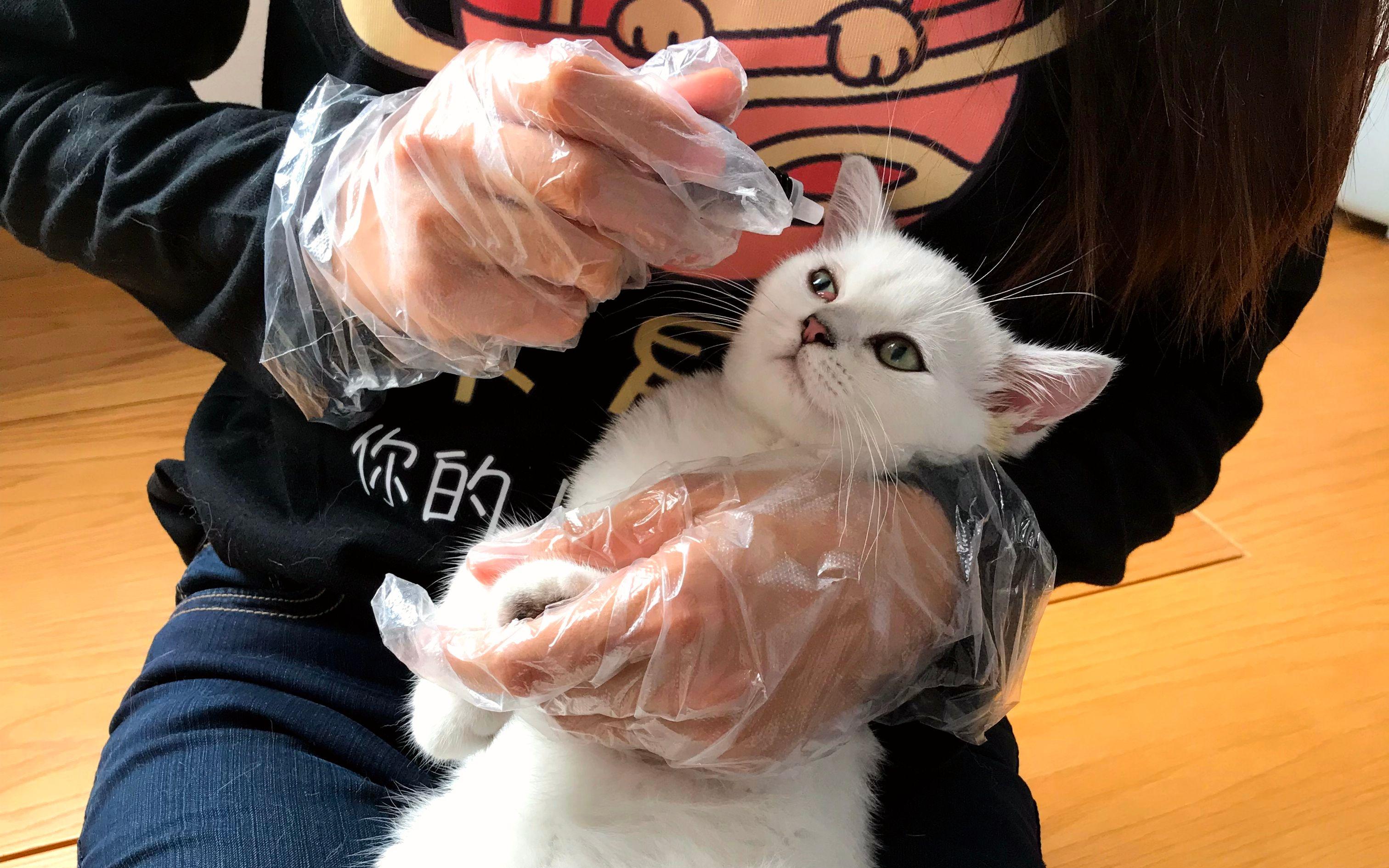 月入2万元的10个小生意有哪些,有什么小生意可以月入10万