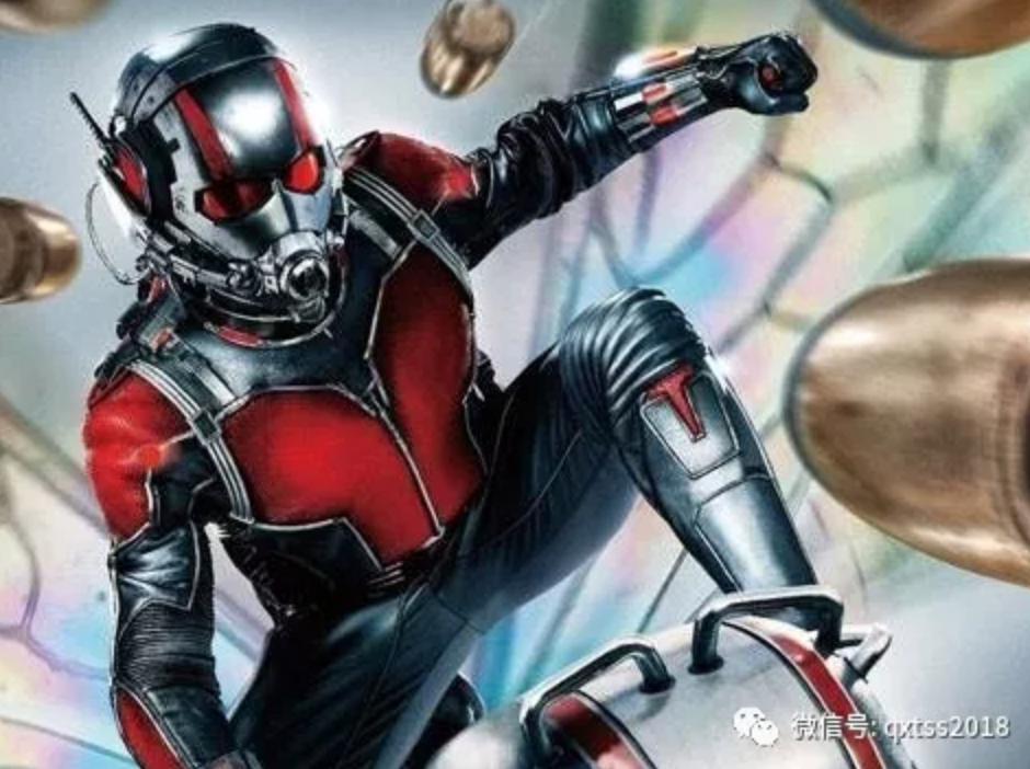 认知尺度，走进片花世界