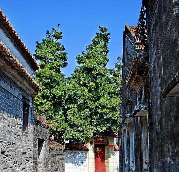 最值得去珠海的旅游景点,珠海比较出名的旅游景点