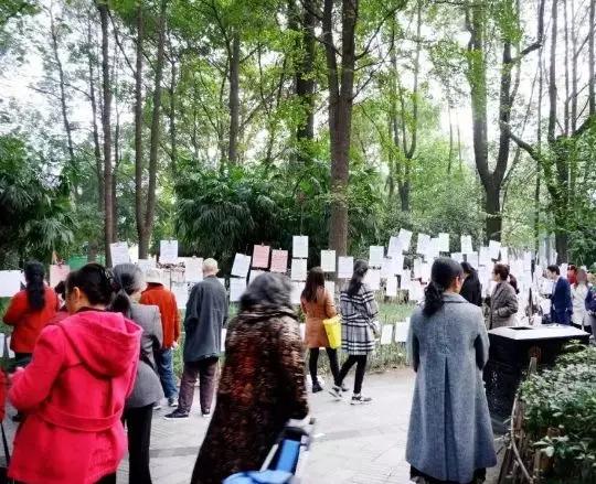 中老年人直播购物防骗指南,中老年人防骗短片