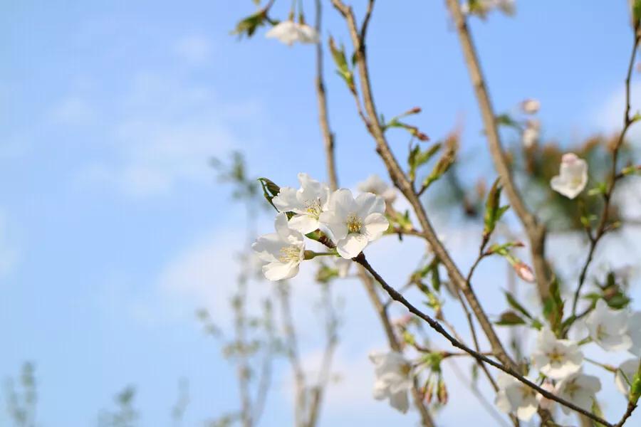春日丽院，与你一起沐浴阳光