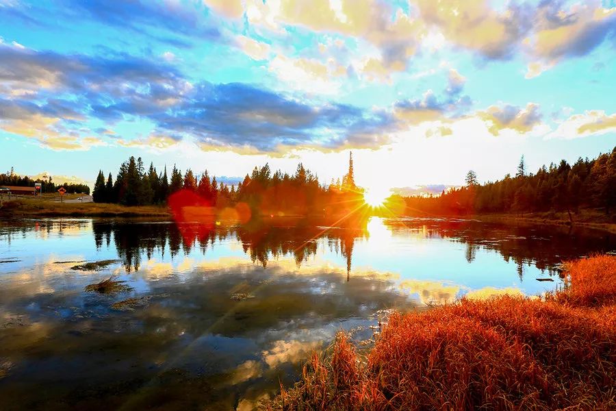 我的心是玻璃做的是什么意思,我的心是玻璃做的完整版