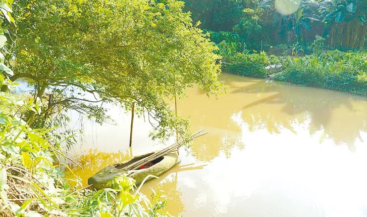 广东罗定龙舟图片,罗定龙舟竞渡视频