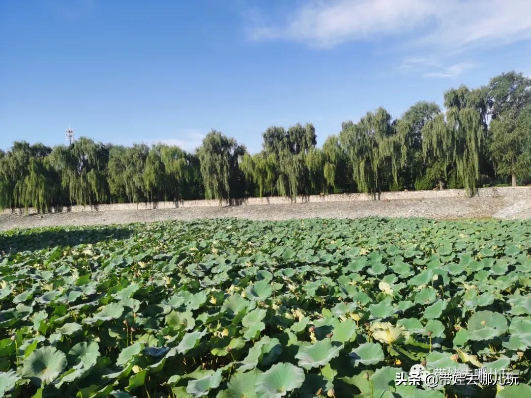 房山青龙湖镇亲子度假酒店,北京房山酒店儿童乐园