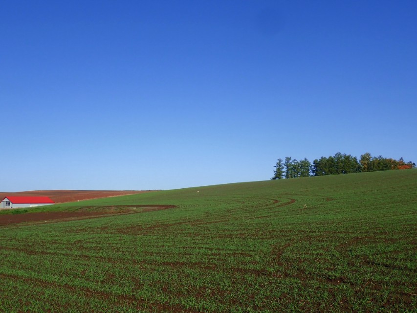 北海道登别到美瑛町需多久,日本北海道美瑛川的雪景