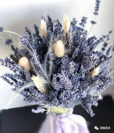 薰衣草真假精油的鉴别方法,熏衣草干花真假辨别