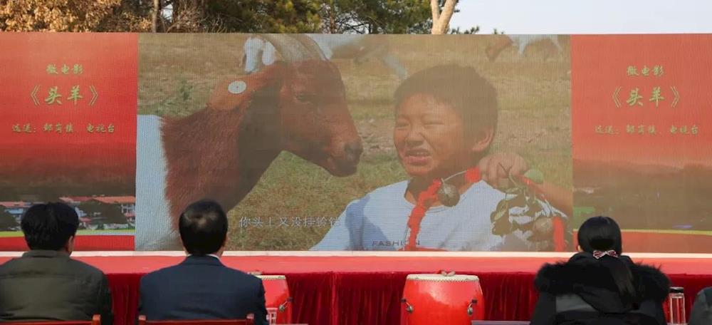 精彩绝伦!今天小悟乡的这场活动温暖又火爆!赶紧来点赞!