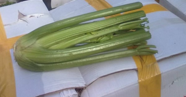 宁夏特色美食排行榜前十名,宁夏银川高档美食推荐