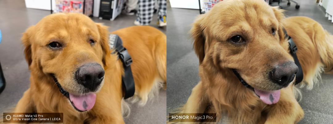 荣耀magic3pro对比oppofindx3pro,荣耀magic3provsmate40pro