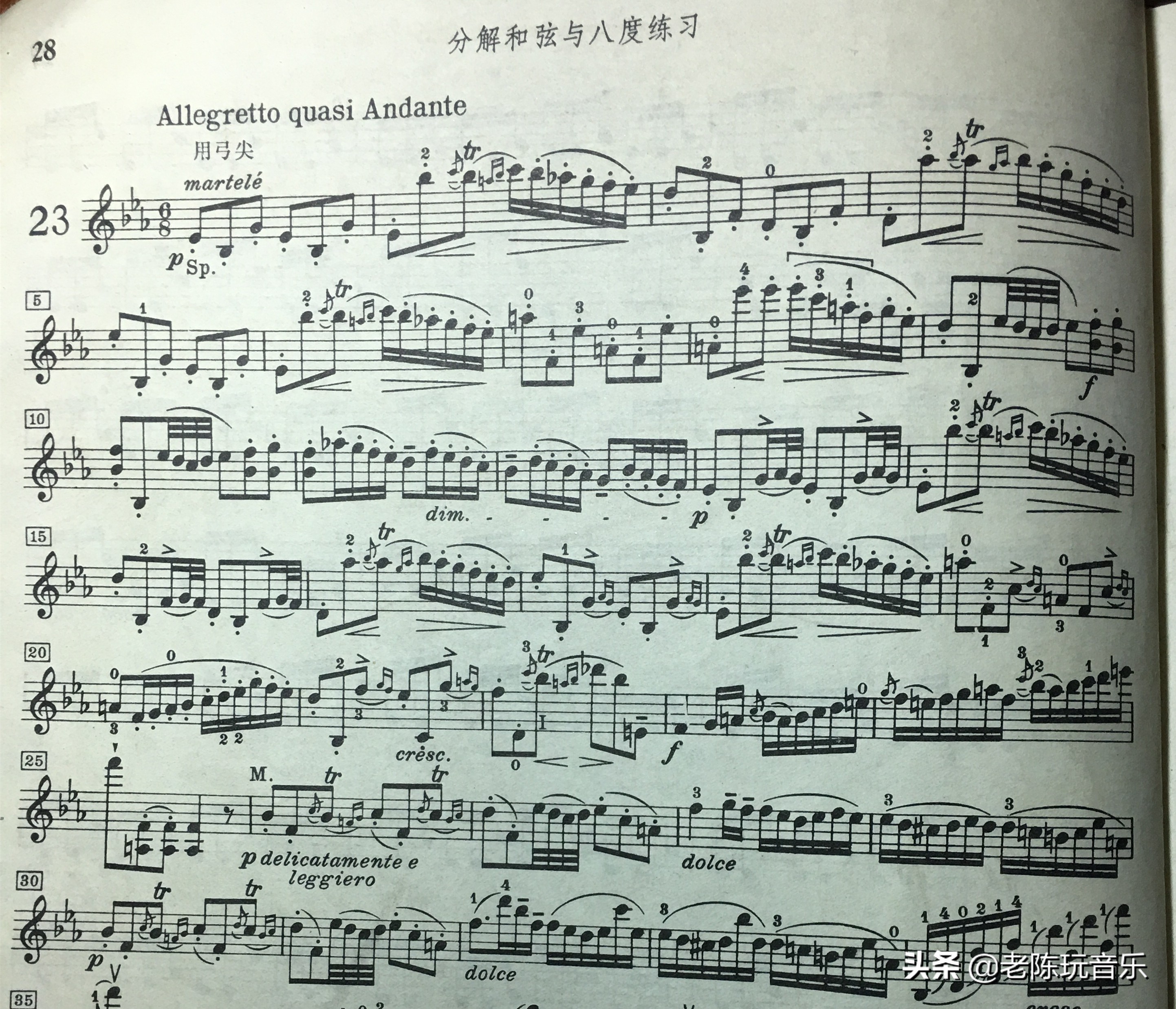 小提琴常用弓法大全让你看个够,舍夫契克小提琴弓法练习详解