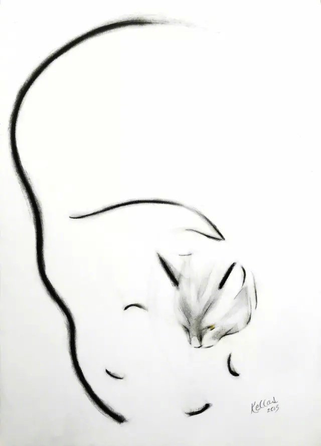 美式复古插画猫,插画猫咪线条