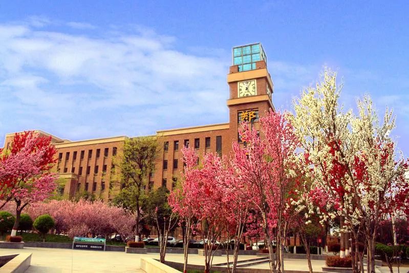 郑州最好的高中排名,排名前10的郑州民办高中