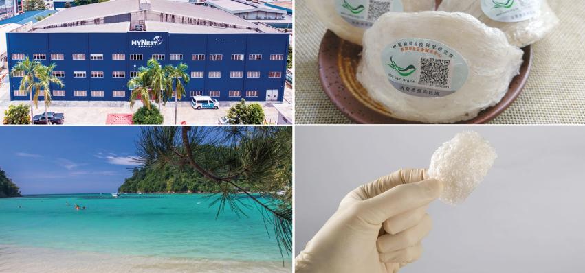 马来西亚燕窝在中国有哪些品牌,马来西亚的燕窝还靠谱吗