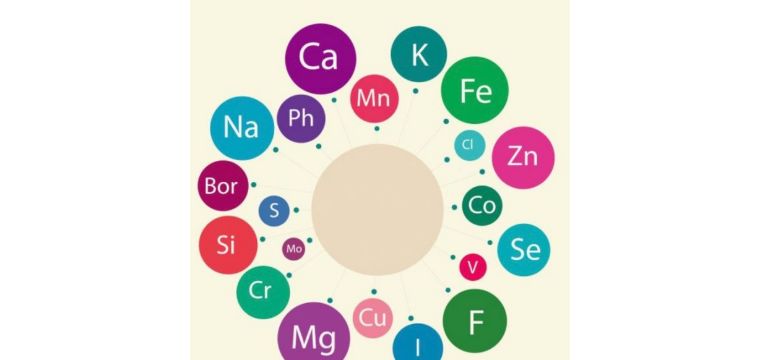珊瑚出现应激,珊瑚莫名状态不好