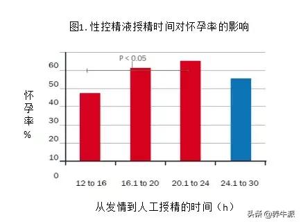 奶牛技术深度解析,奶牛技术创新