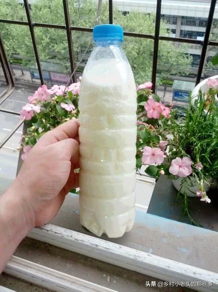 过期奶粉浇花的正确方法,过期的奶粉怎么用来种菜