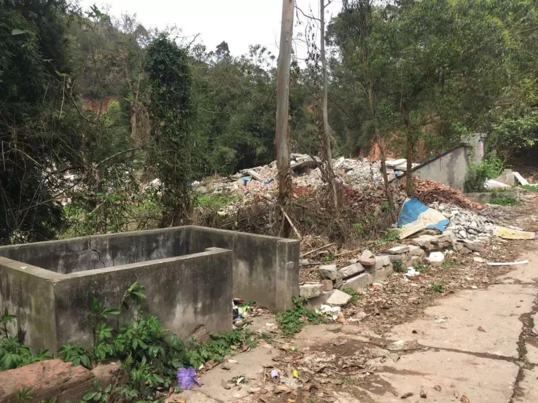 乐山市生态文明,庆祝新中国成立70周年特辑宣讲