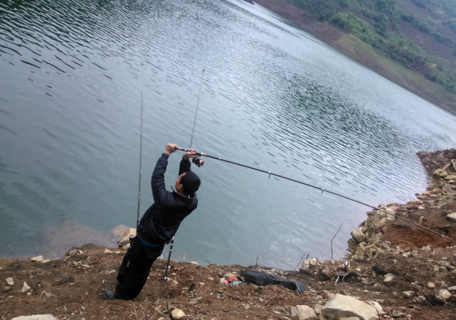 用玉米粒钓鱼,用玉米粒钓鱼需要打窝吗