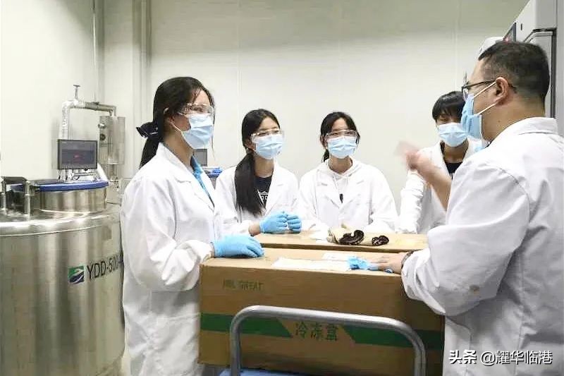 谁说高中生不能参与前沿科研？上海临港耀华学生的深渊极客之旅