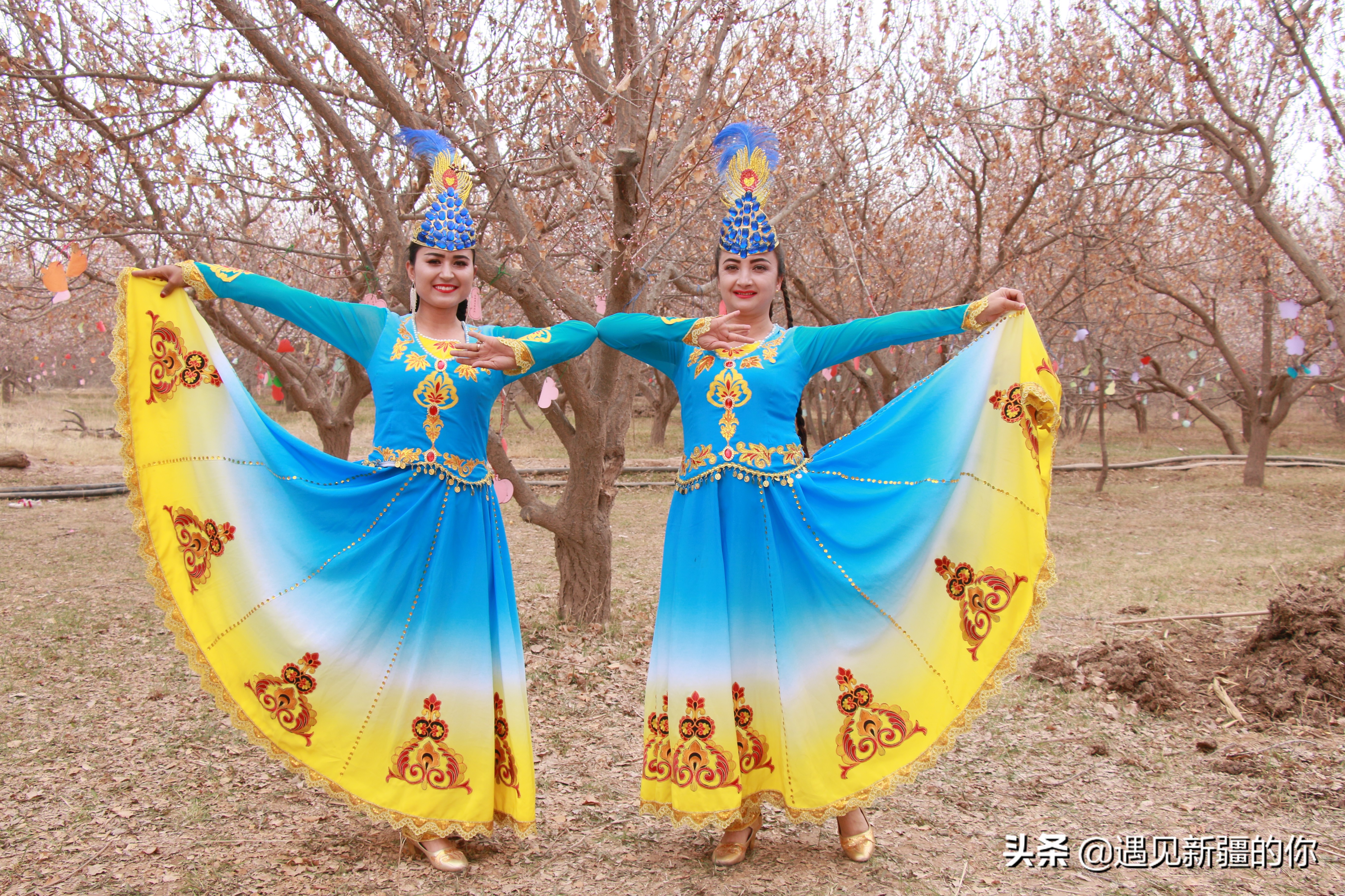 伊犁杏花节哪里的好看,杏花节旅游