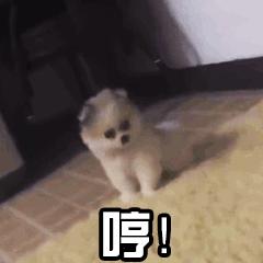 hermes爱马仕服务,hermes爱马仕经典女包