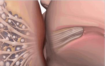 月子里奶水少怎样催乳,奶水少吃什么药下奶最快