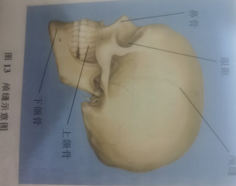 解决头晕恶心的小妙招,头晕的疑难杂症怎么治疗
