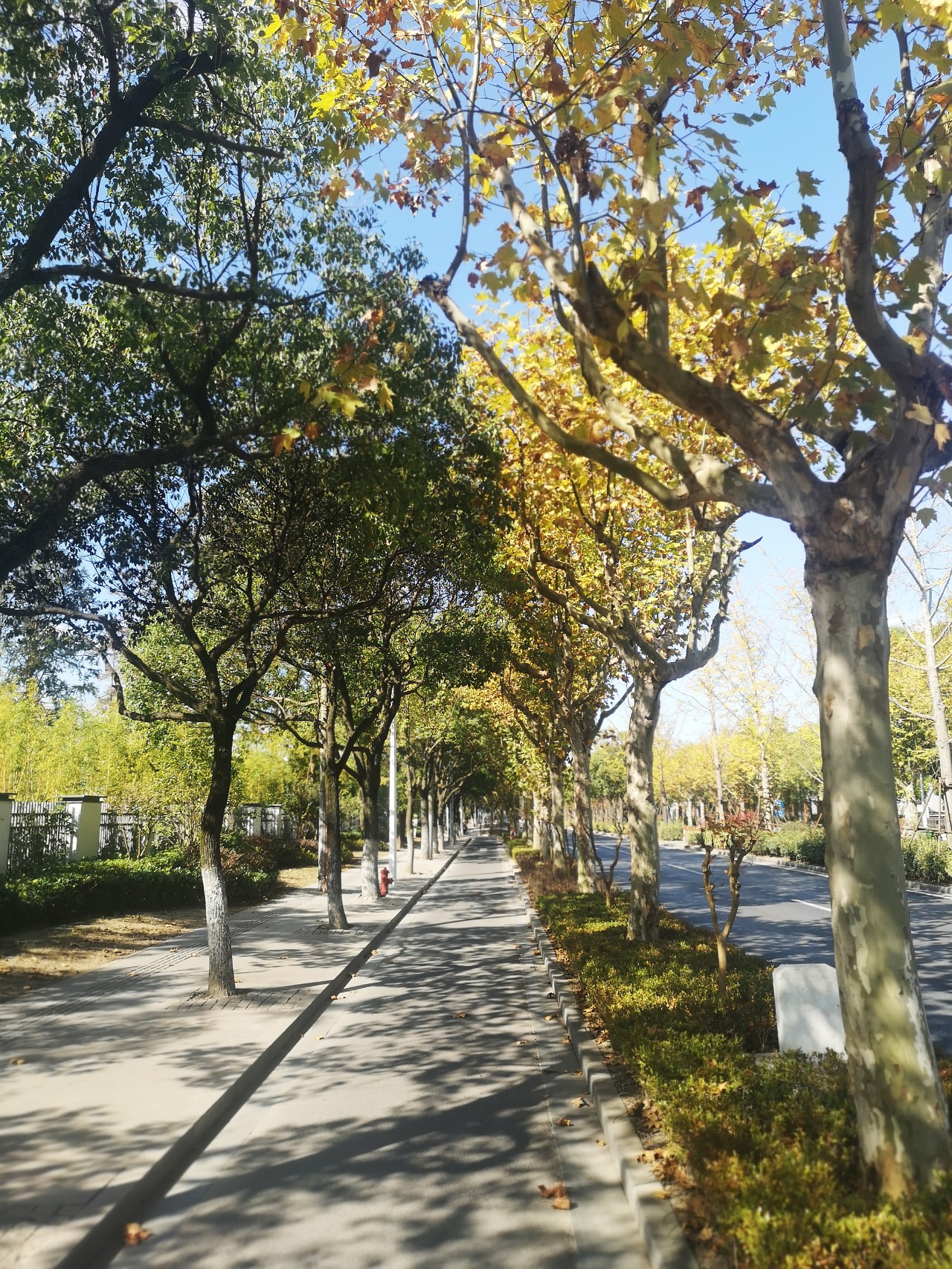 浦东唐镇位置好不好,上海浦东唐镇有什么发展