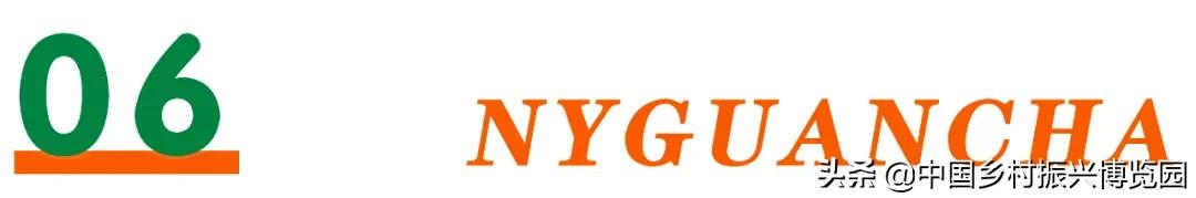 乡村振兴产业方面存在的问题,乡村振兴最有前景九大产业