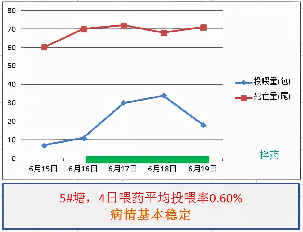 鱼得了肠炎还能活多久,生鱼烂身治疗