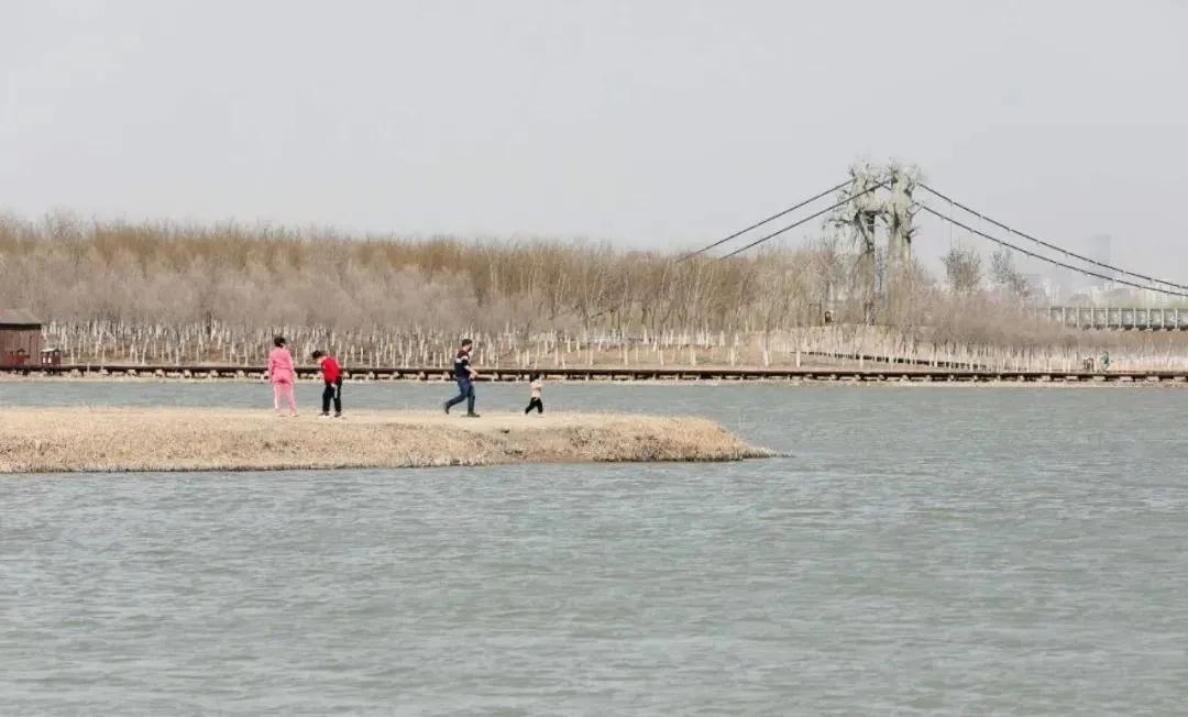 天津市五一新开放的公园,天津地区春暖花开的时间