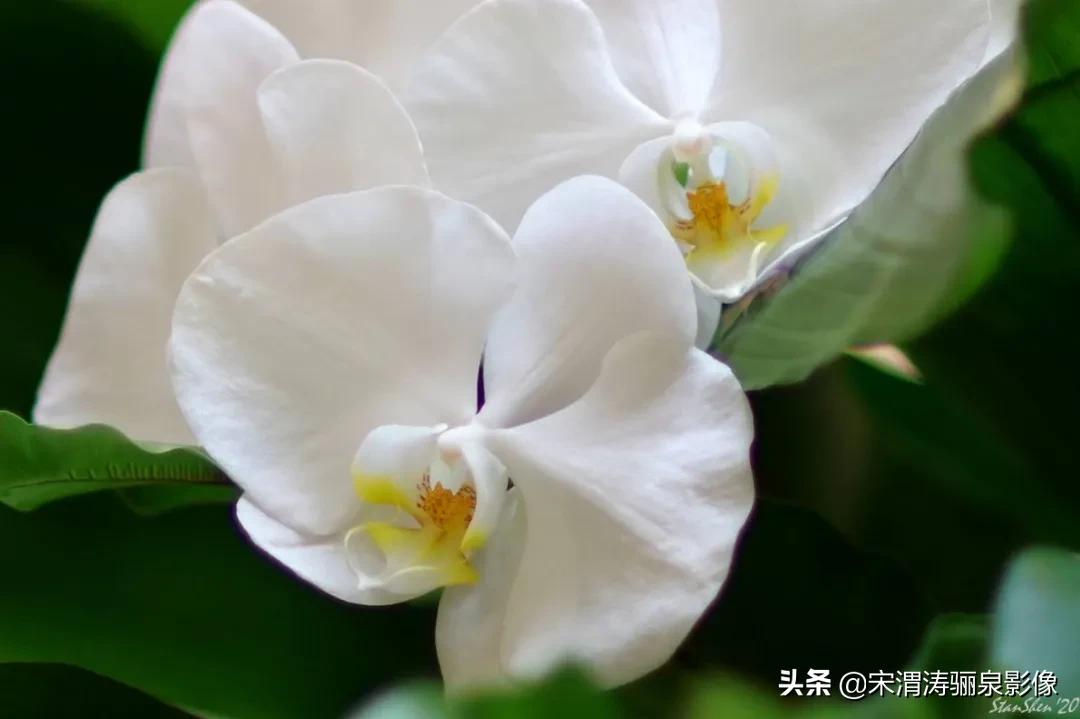 令人振奋的宾得HDPENTAXDFA*85mmF/1.4EDSDMAW