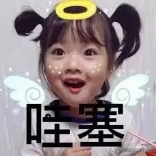 2021回家难，荷兰华人就选这个给亲戚朋友拜年