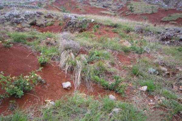 如何分辨你是广西哪个市的人,如何判断一个人是不是广西的