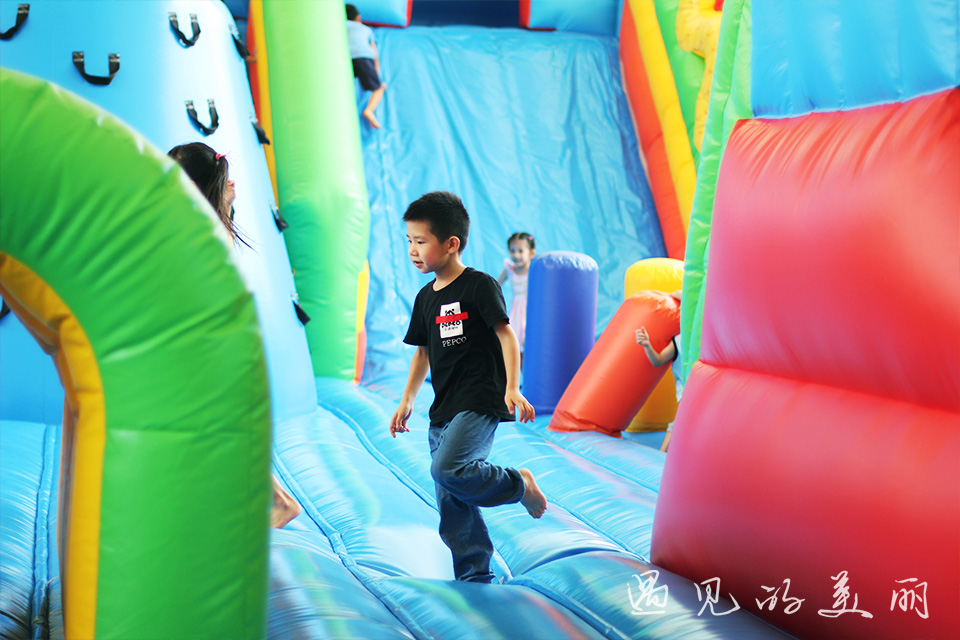 百万葵园有多坑,百万葵园免门票