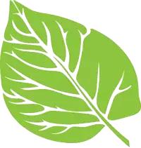 元旦南湖有什么活动,南湖湿地公园趣味运动会