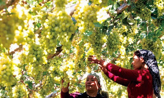 新十八怪,最新十八怪