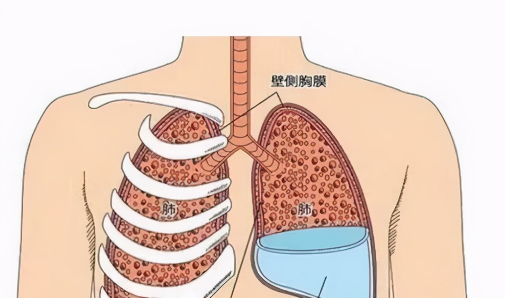 9岁小孩脊柱侧弯怎么补救,十岁孩子脊柱侧弯的照片