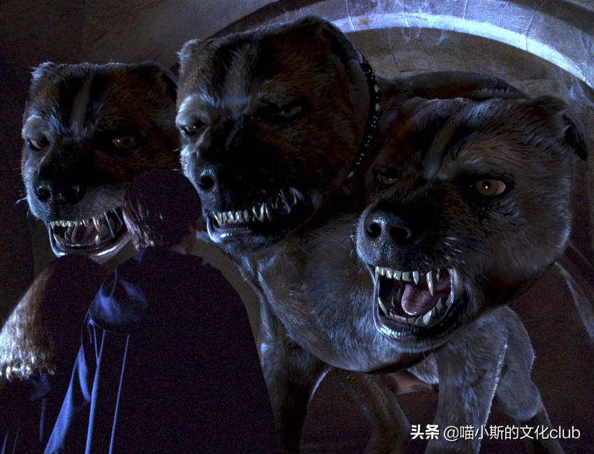 哈利波特三头犬怎么不击败三头犬,哈利波特里的三头犬长什么样