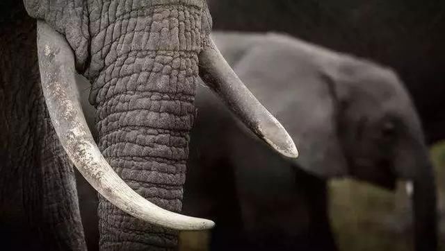 在山上看到这些宝石千万不要错过,深山瑰宝那些不为人知的天然宝石