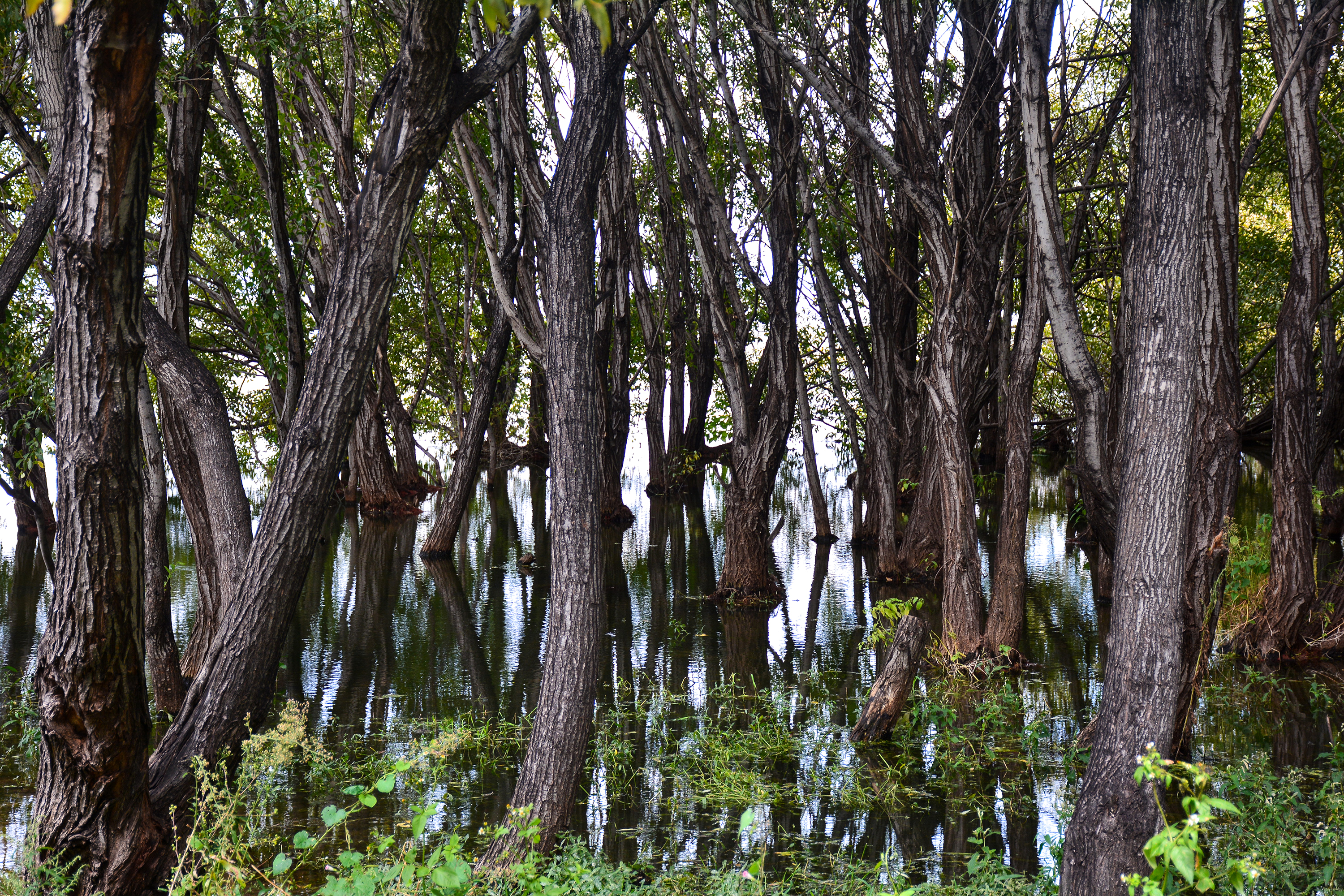 湛江去云南旅游怎么省钱,云南旅游自由行省钱攻略