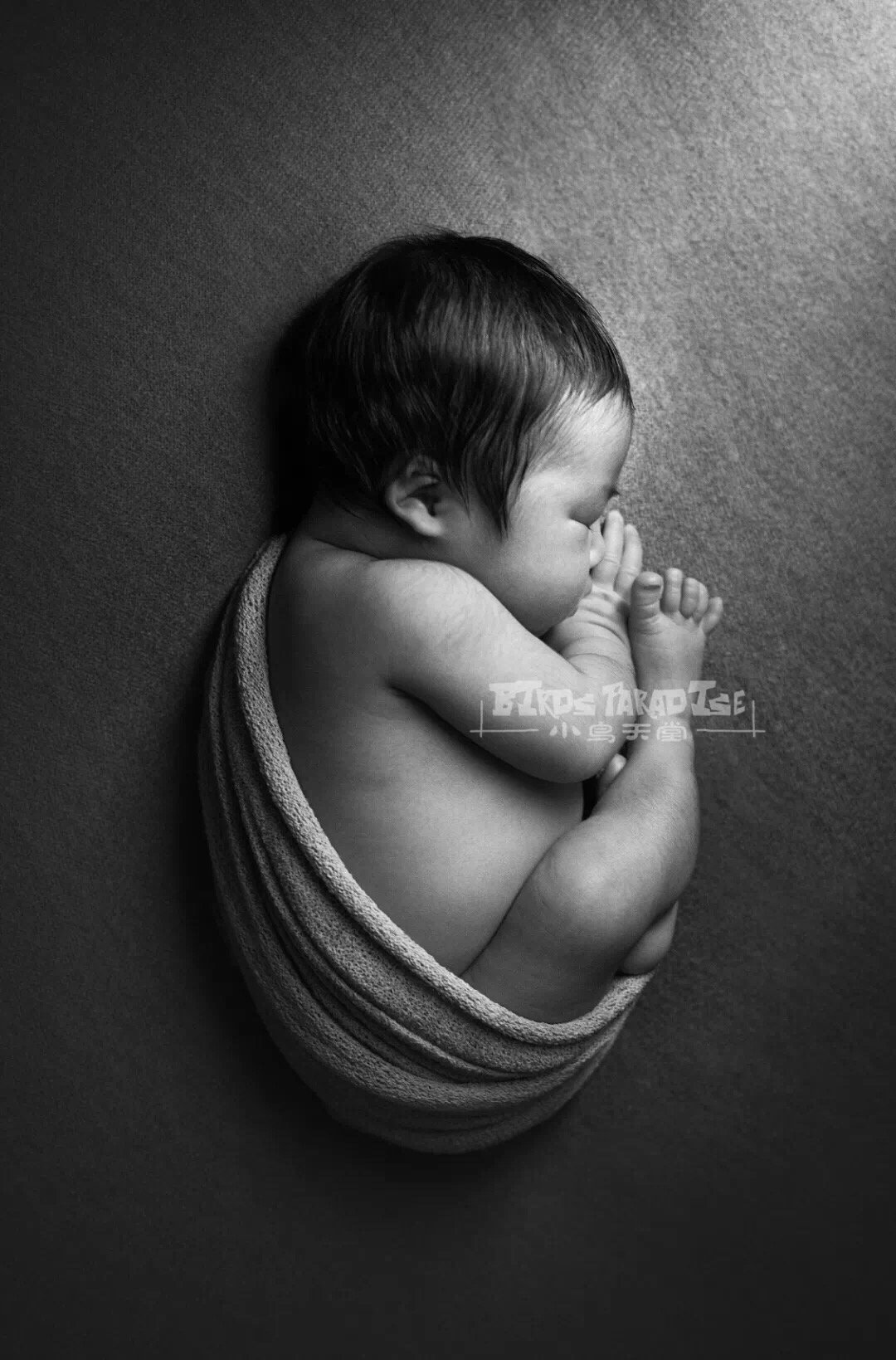 茄子儿童摄影店,茄子新生儿童摄影
