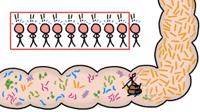 你吃过哪些品牌的益生菌,你吃的真的是益生菌吗