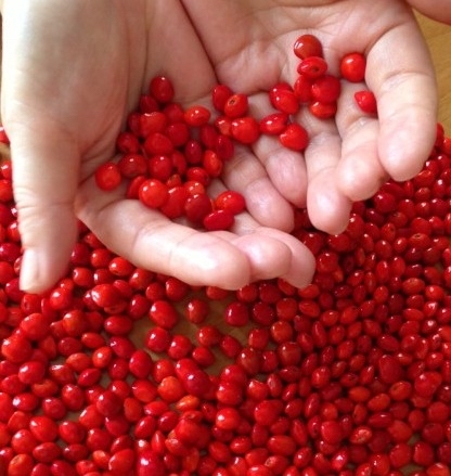 丹霞山周边三日游,丹霞山三日之旅攻略