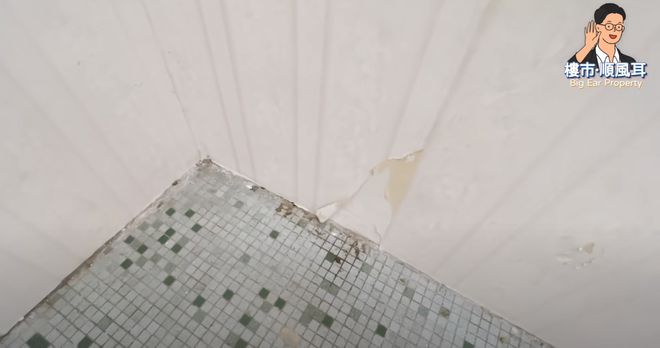 在香港3000块能租到房子吗,在香港月租2w的房子